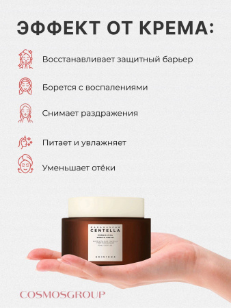 Интенсивный ламеллярный лифтинг крем для лица антивозрастной с пробиотиками/ корейская косметика от морщин для упругости кожи Madagascar Centella Probio-Cica Enrich Cream, 50 мл. | Москосметикс